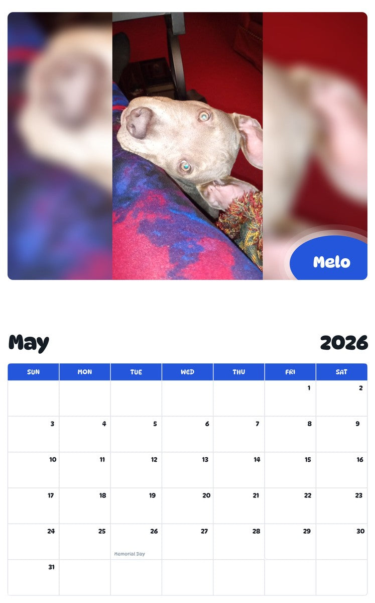 2026 - 2027 Melo - Pawidols Pet Calendar