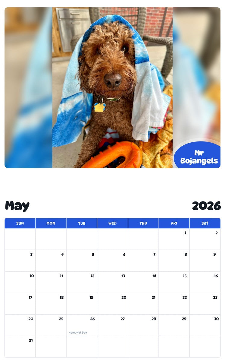 2026 - 2027 Mr Bojangels - Pawidols Pet Calendar