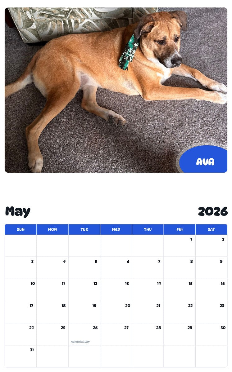 2026 - 2027 AVA - Pawidols Pet Calendar