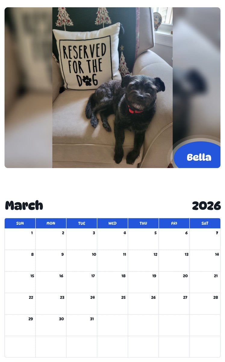 November 2025 - October 2026 Bella - Pawidols Pet Calendar