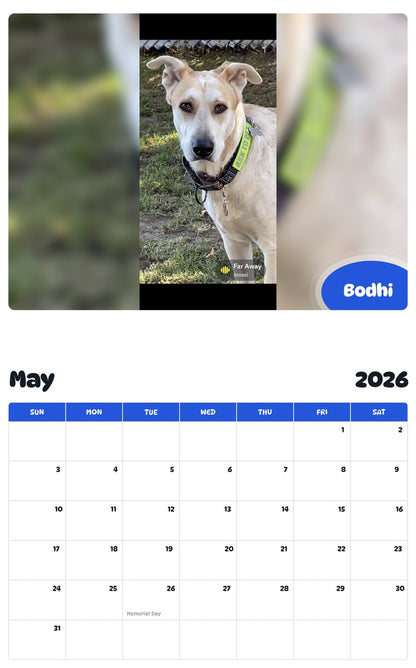 2026 - 2027 Bodhi - Pawidols Pet Calendar