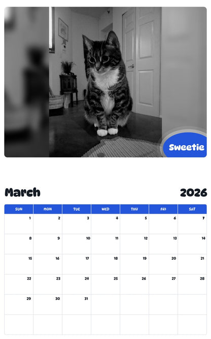 November 2025 - October 2026 Sweetie - Pawidols Pet Calendar