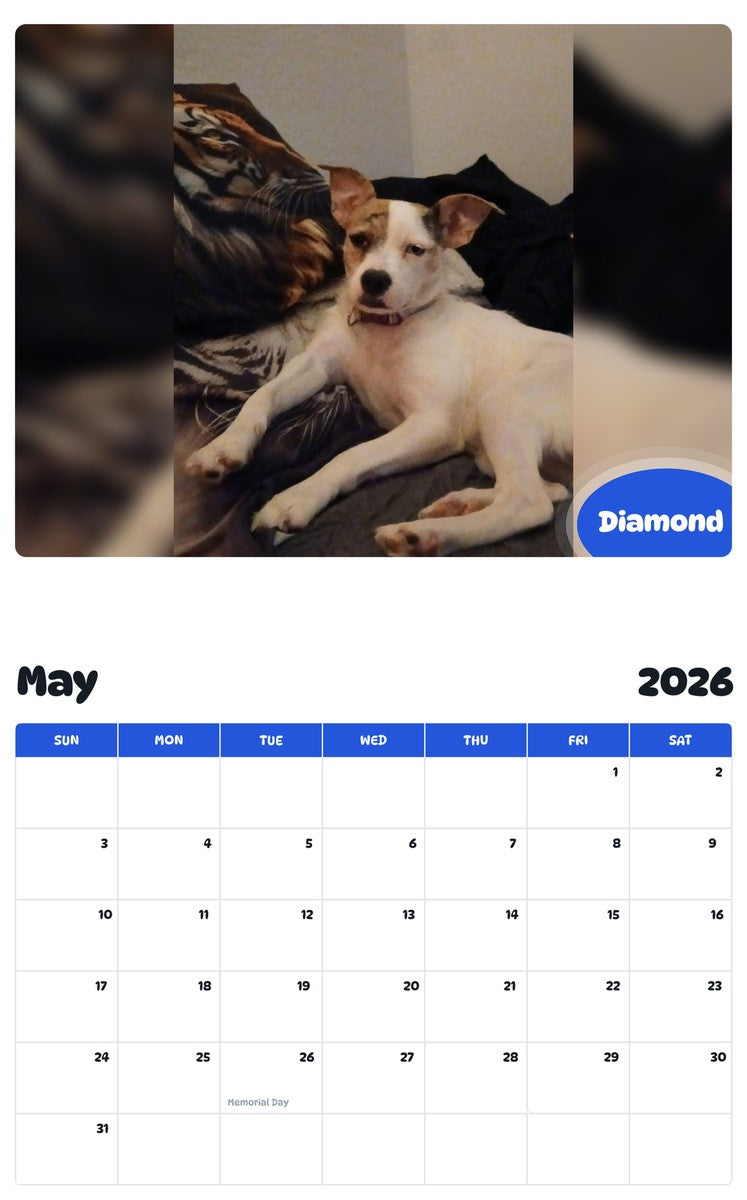 2026 - 2027 Diamond - Pawidols Pet Calendar