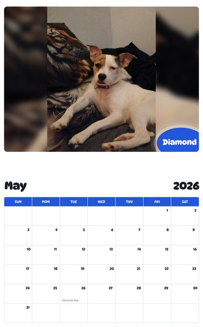2026 - 2027 Diamond - Pawidols Pet Calendar
