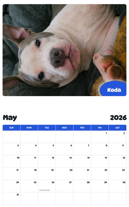 2026 - 2027 Koda - Pawidols Pet Calendar