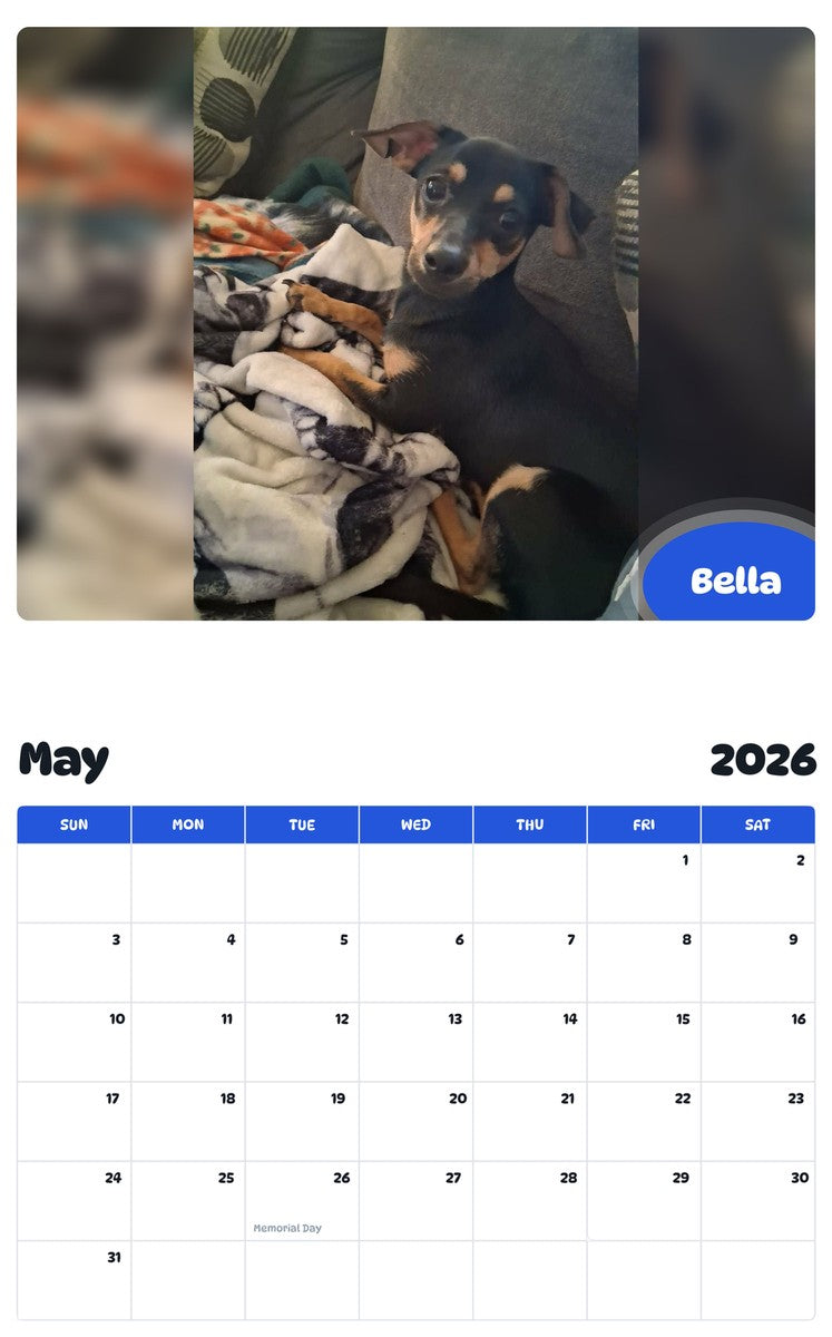 2026 - 2027 Bella - Pawidols Pet Calendar