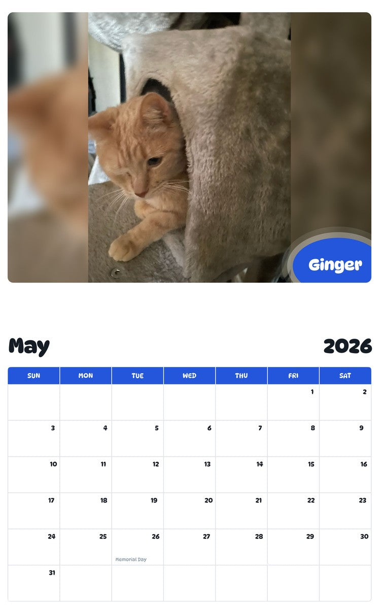 2026 - 2027 Ginger - Pawidols Pet Calendar