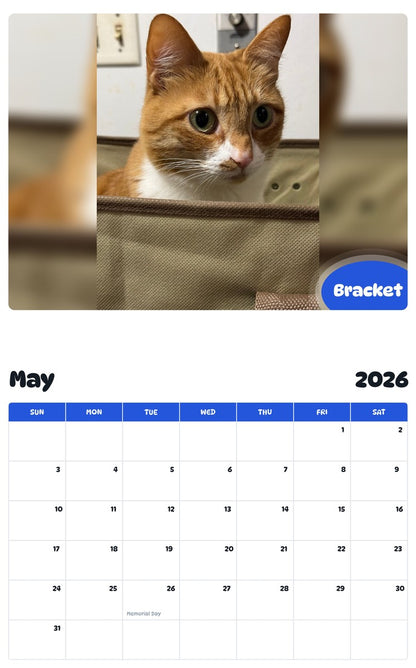 2026 - 2027 Bracket - Pawidols Pet Calendar