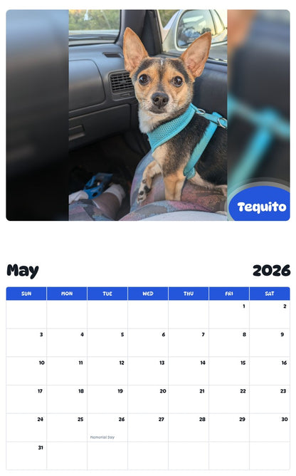 2026 - 2027 Tequito - Pawidols Pet Calendar