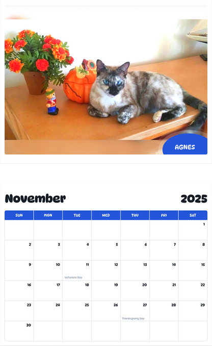 July 2025 - June 2026 Agnes - Pawidols Pet Calendar