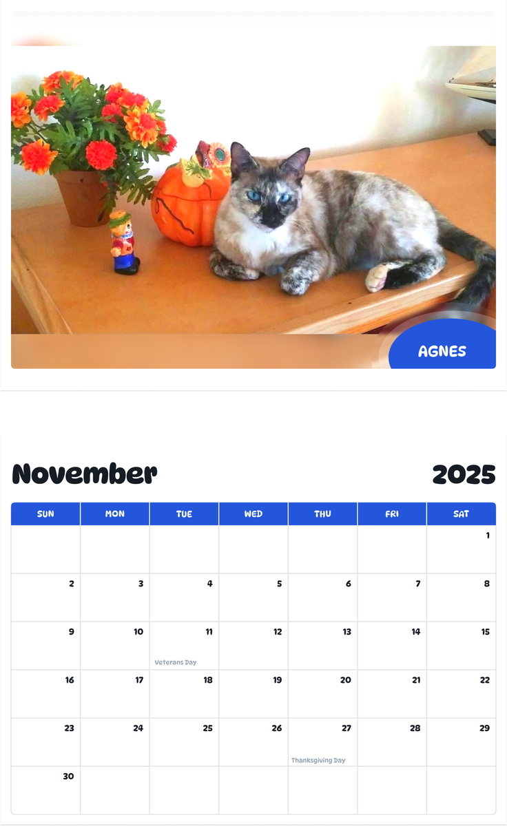 July 2025 - June 2026 Agnes - Pawidols Pet Calendar
