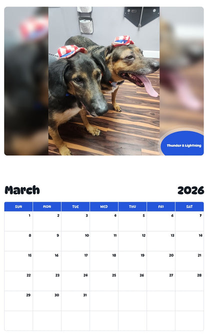 November 2025 - October 2026 Thunder & Lightning - Pawidols Pet Calendar