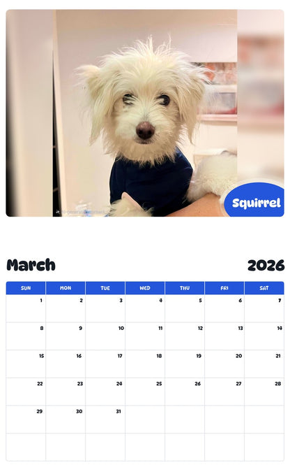 November 2025 - October 2026 Squirrel - Pawidols Pet Calendar