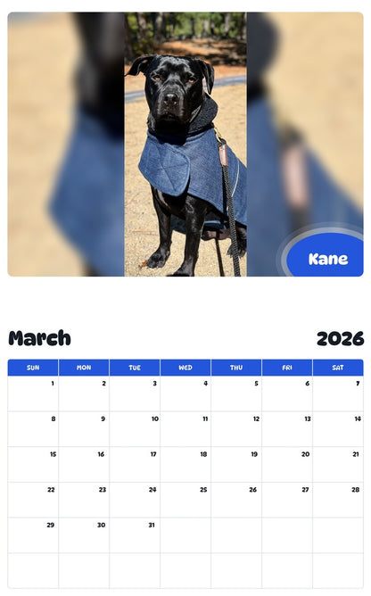 November 2025 - October 2026 Kane - Pawidols Pet Calendar
