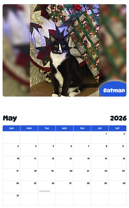 2026 - 2027 Batman - Pawidols Pet Calendar