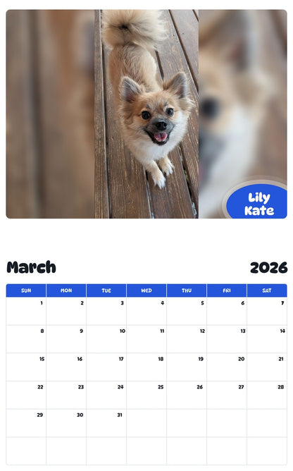 November 2025 - October 2026 Lily Kate - Pawidols Pet Calendar