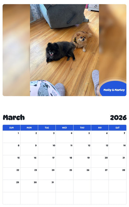 November 2025 - October 2026 Molly & Marley - Pawidols Pet Calendar