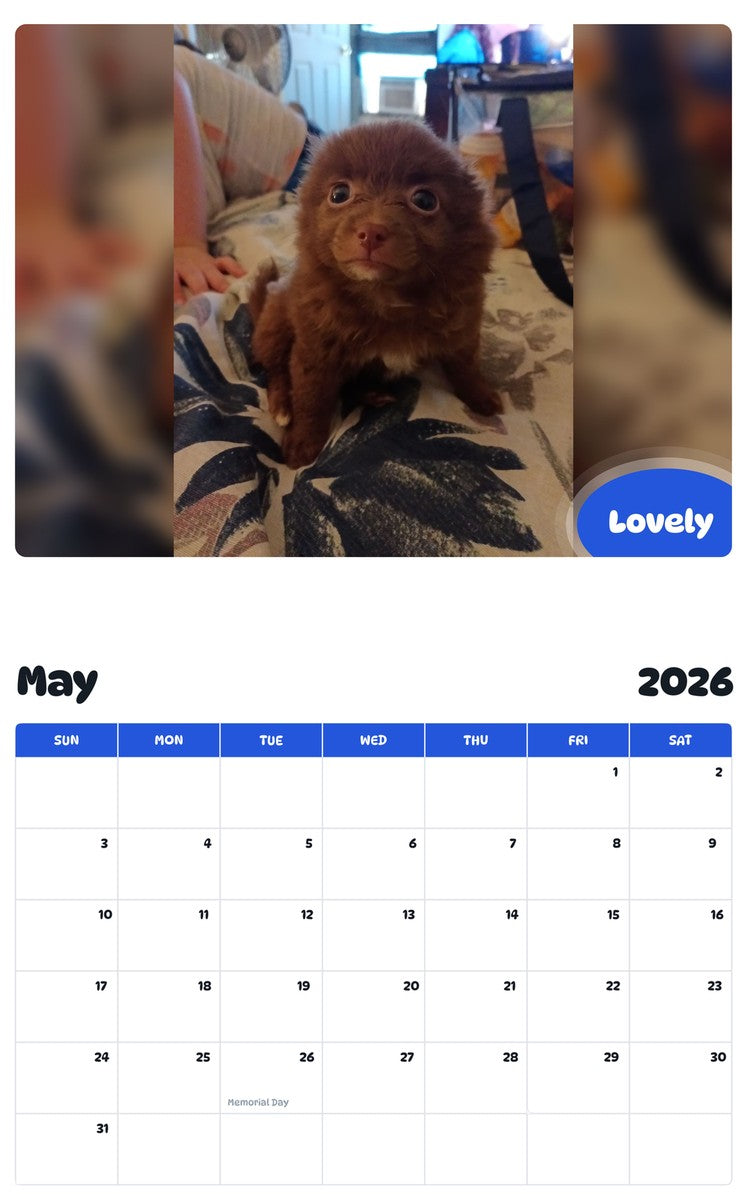 2026 - 2027 Lovely - Pawidols Pet Calendar