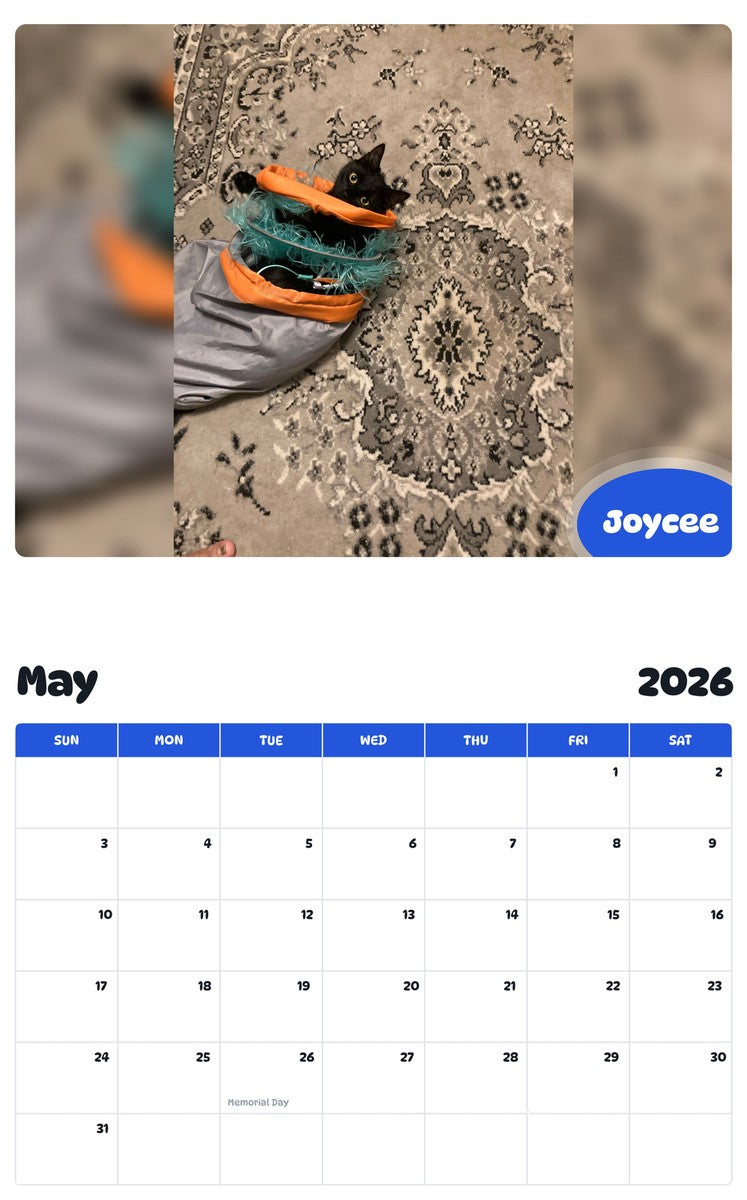 2026 - 2027 Joycee - Pawidols Pet Calendar