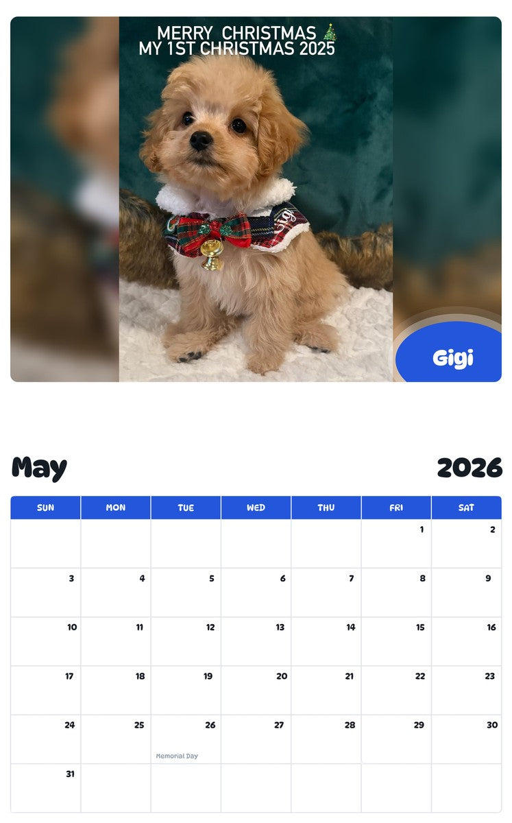 2026 - 2027 Gigi - Pawidols Pet Calendar