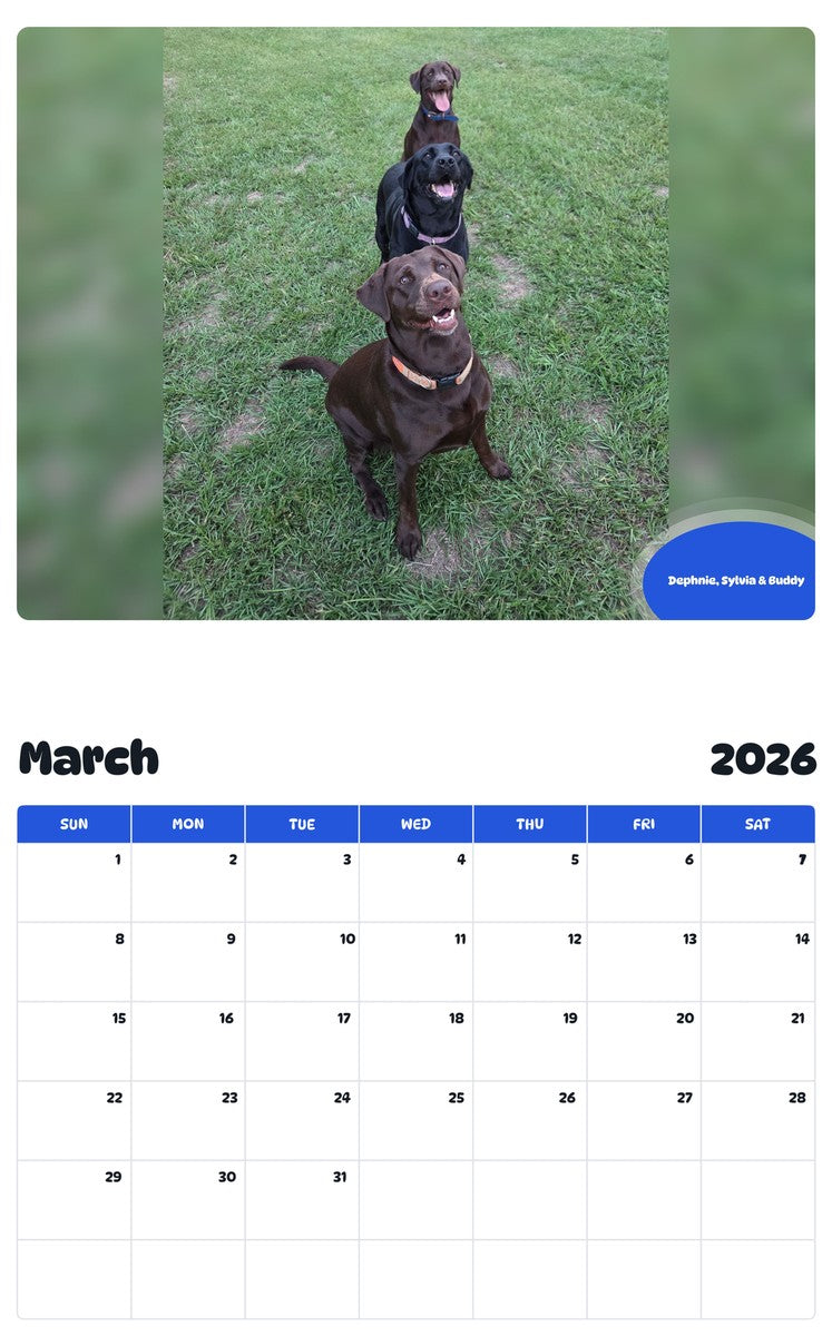 November 2025 - October 2026 Dephnie, Sylvia & Buddy - Pawidols Pet Calendar