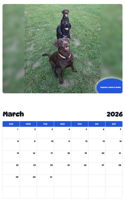 November 2025 - October 2026 Dephnie, Sylvia & Buddy - Pawidols Pet Calendar