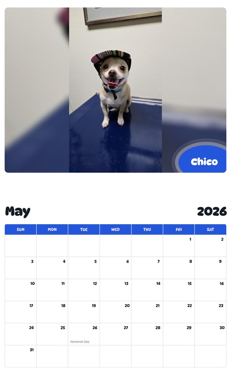 2026 - 2027 Chico - Pawidols Pet Calendar