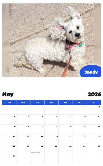 2026 - 2027 Sandy - Pawidols Pet Calendar