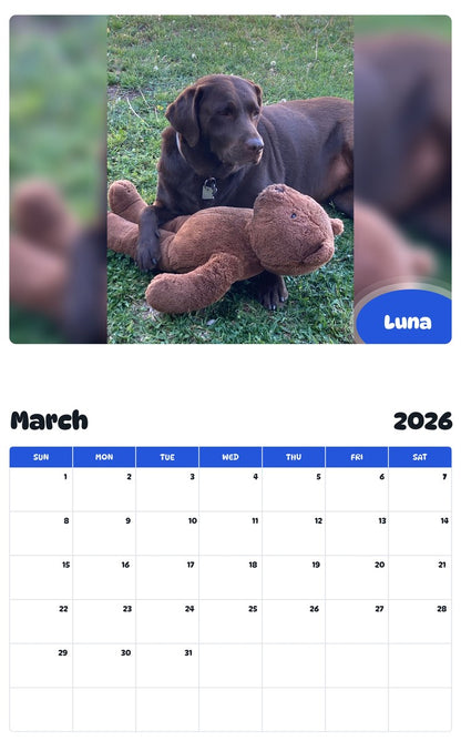 November 2025 - October 2026 Luna - Pawidols Pet Calendar