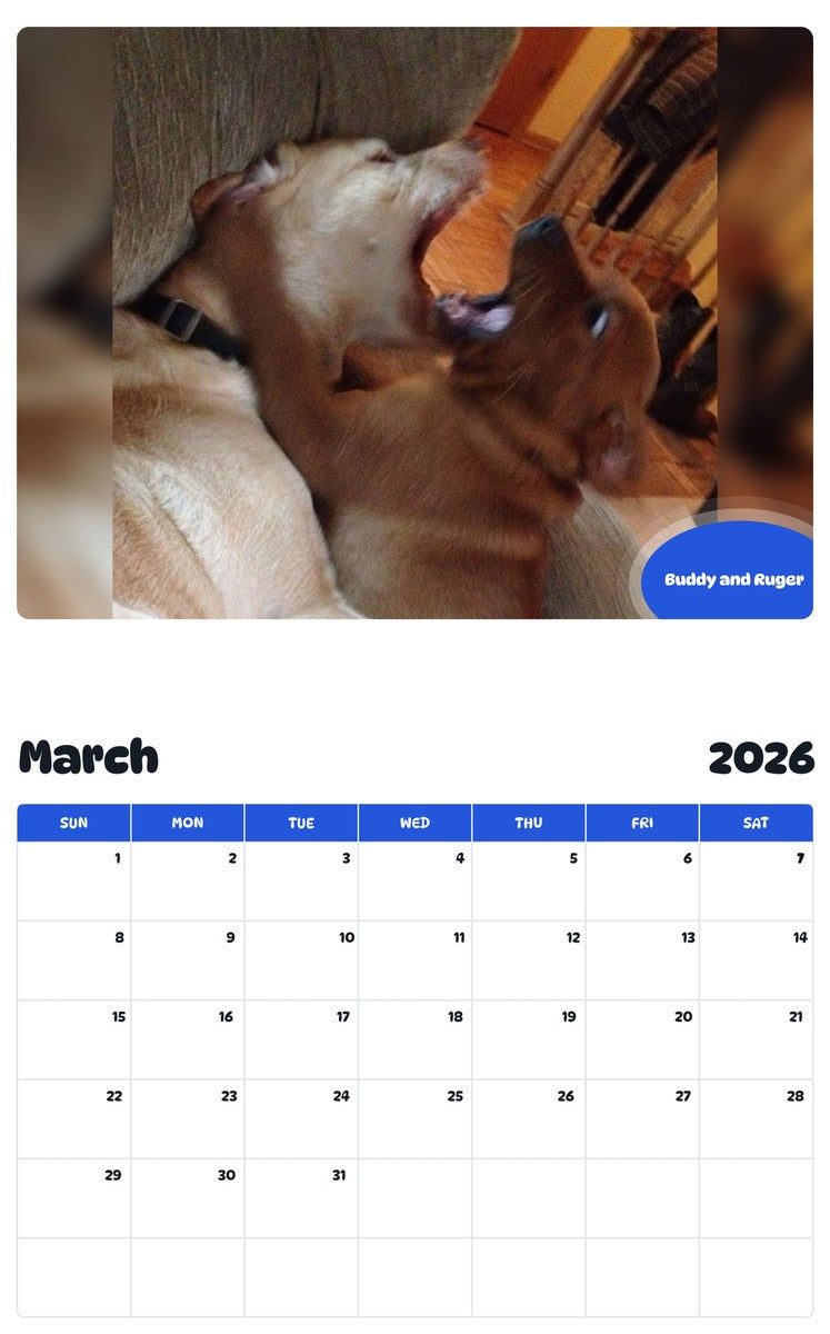 November 2025 - October 2026 Buddy and Ruger - Pawidols Pet Calendar
