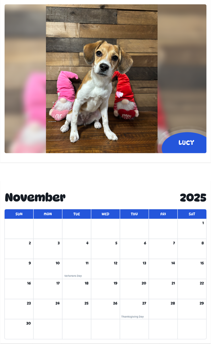 July 2025 - June 2026 Lucy - Pawidols Pet Calendar