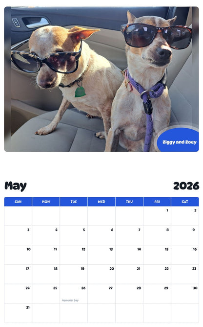 2026 - 2027 Ziggy and Zoey - Pawidols Pet Calendar