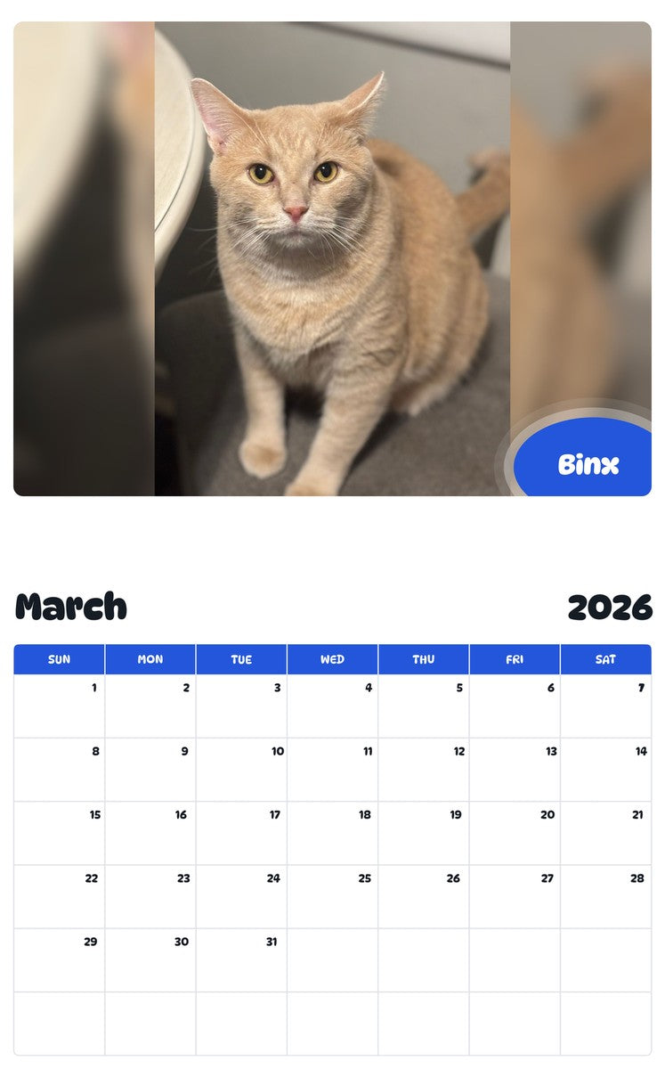 November 2025 - October 2026 Binx - Pawidols Pet Calendar