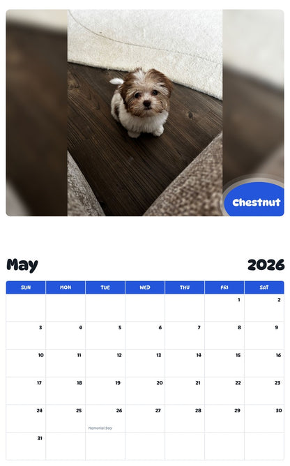2026 - 2027 Chestnut - Pawidols Pet Calendar