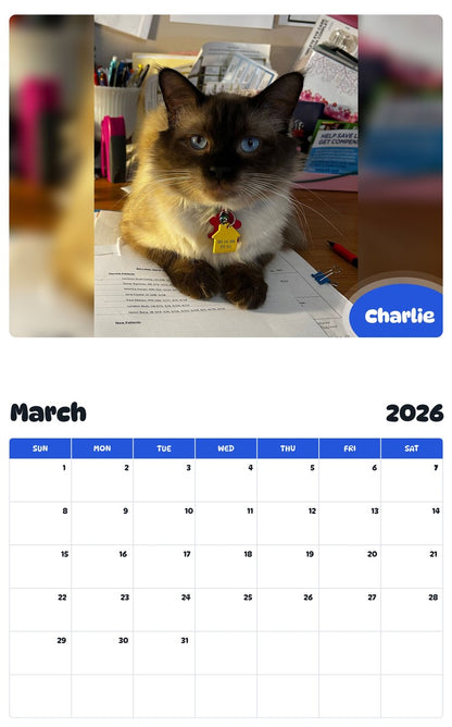 November 2025 - October 2026 Charlie - Pawidols Pet Calendar