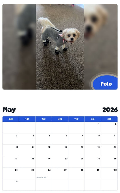 2026 - 2027 Polo - Pawidols Pet Calendar