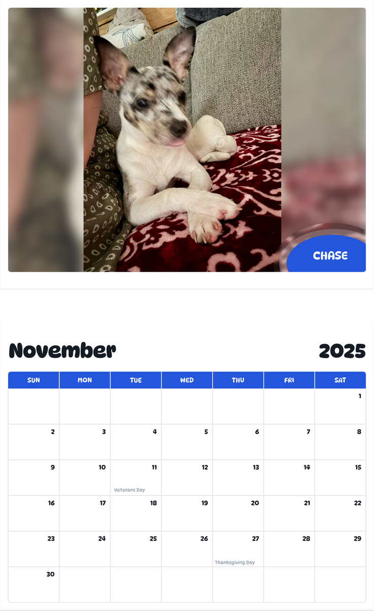 July 2025 - June 2026 Chase - Pawidols Pet Calendar