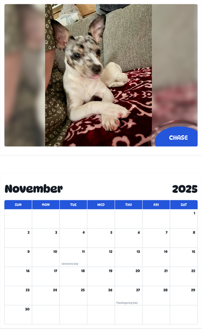 July 2025 - June 2026 Chase - Pawidols Pet Calendar