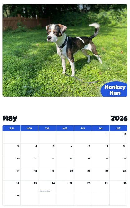 2026 - 2027 Monkey Man - Pawidols Pet Calendar