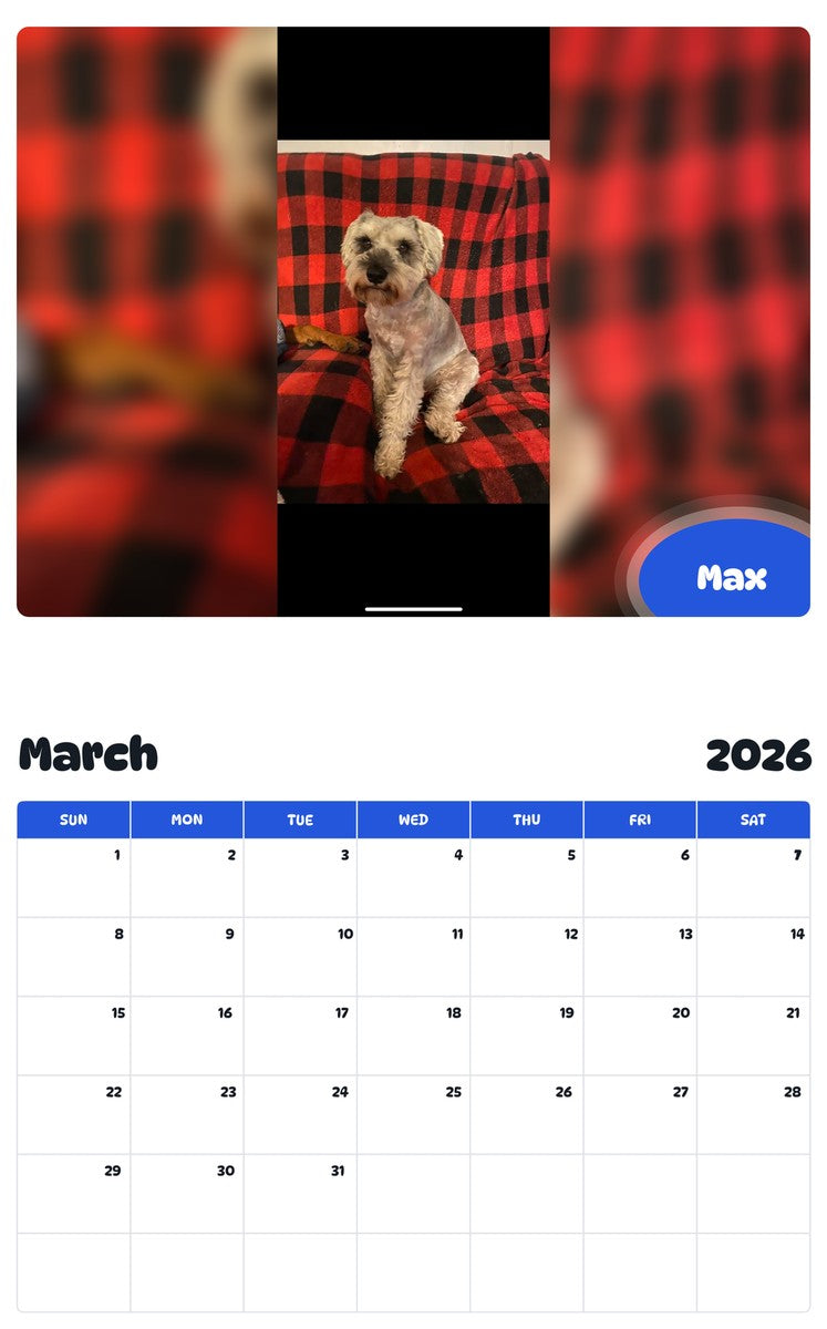 November 2025 - October 2026 Max - Pawidols Pet Calendar