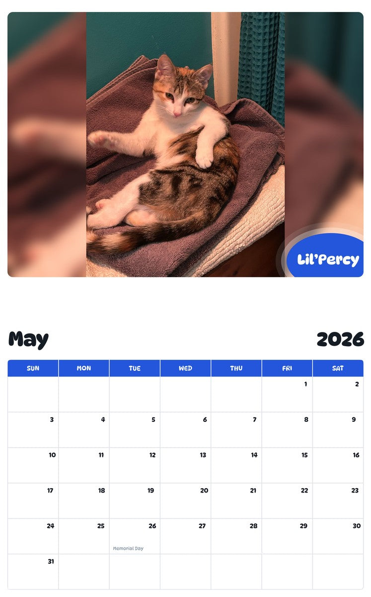 2026 - 2027 Lil’Percy - Pawidols Pet Calendar