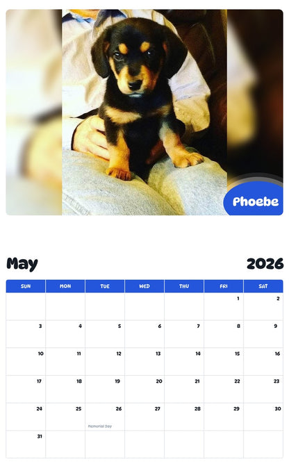 2026 - 2027 Phoebe - Pawidols Pet Calendar