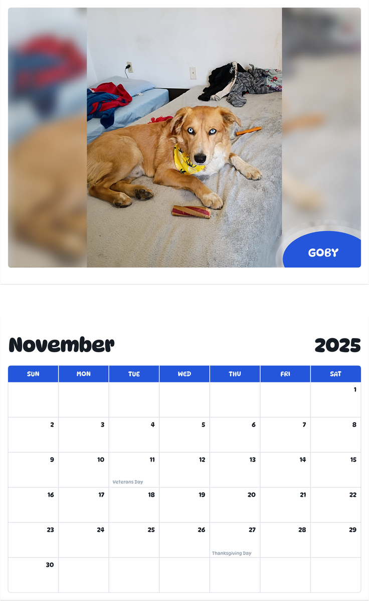 July 2025 - June 2026 Goby - Pawidols Pet Calendar