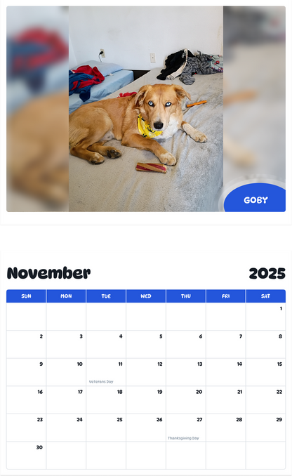 July 2025 - June 2026 Goby - Pawidols Pet Calendar