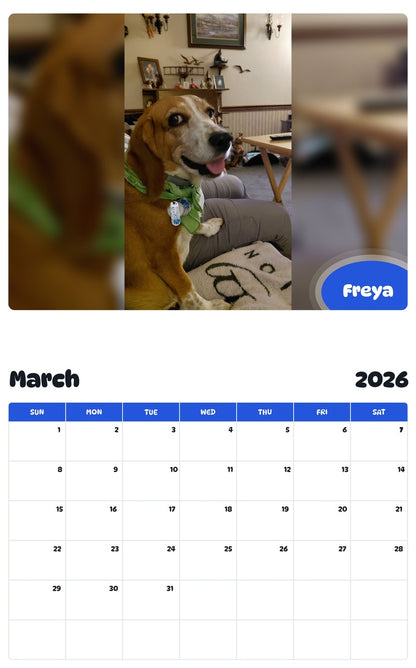 November 2025 - October 2026 Freya - Pawidols Pet Calendar