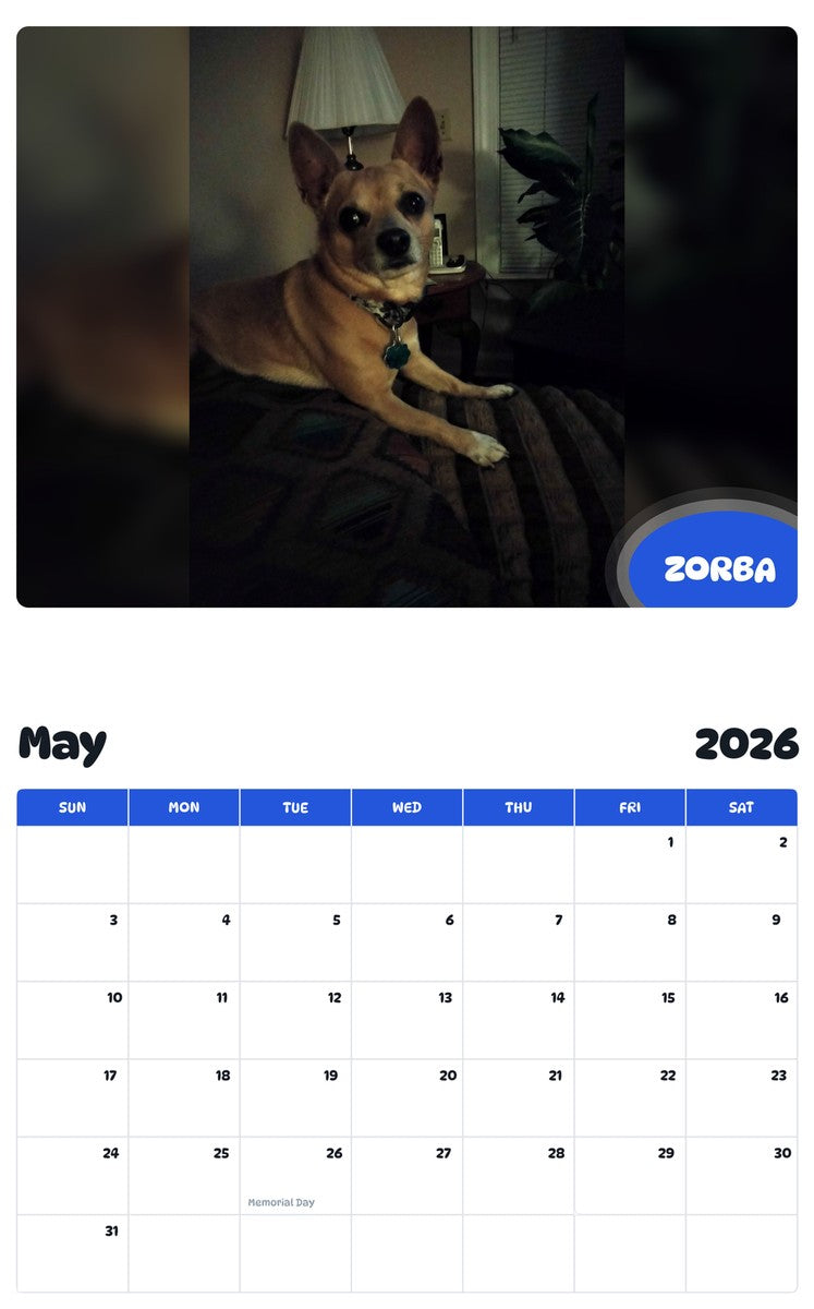 2026 - 2027 ZORBA - Pawidols Pet Calendar