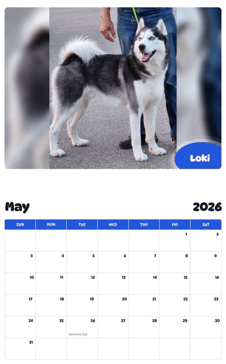 2026 - 2027 Loki - Pawidols Pet Calendar