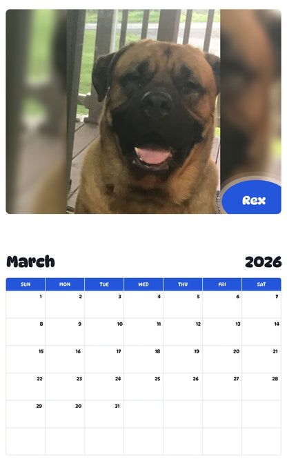 November 2025 - October 2026 Rex - Pawidols Pet Calendar