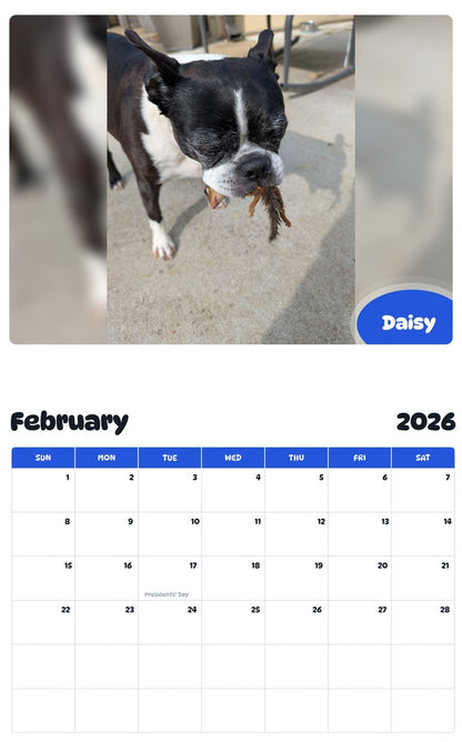 October 2025 - September 2026 Daisy - Pawidols Pet Calendar