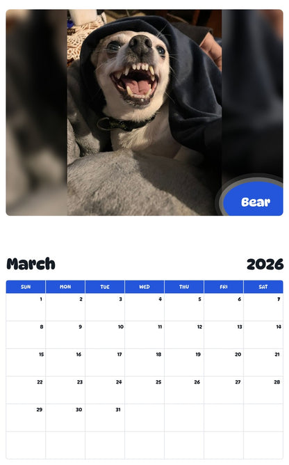 November 2025 - October 2026 Bear - Pawidols Pet Calendar